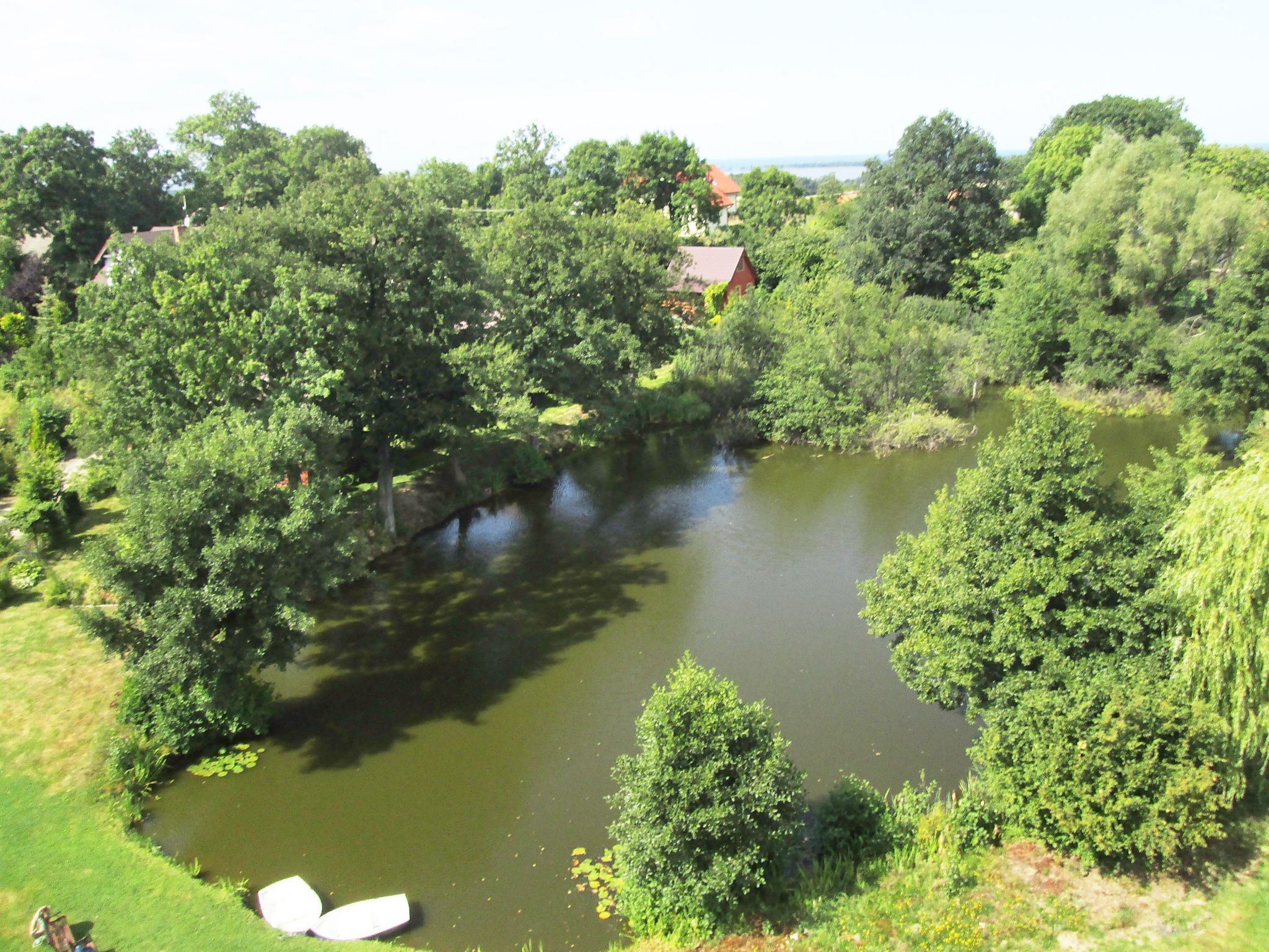 Een rivier omgeven door weelderige begroeiing, met op de achtergrond enkele huizen.