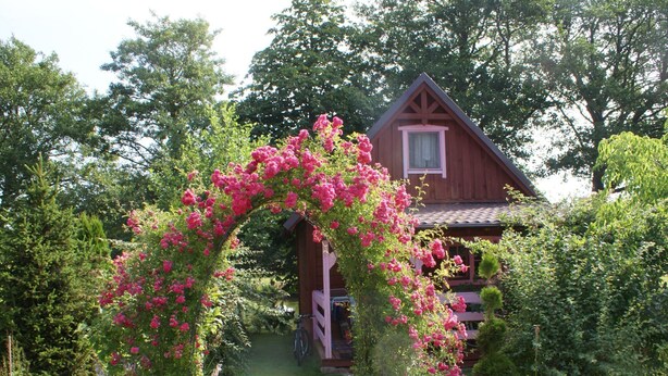 A wooden cabin with a porch, surrounded by lush greenery and flowering plants. - Ruhe am Meer - Ferienhäuser in den Gärten von Magra by Interhome (Darlowo)