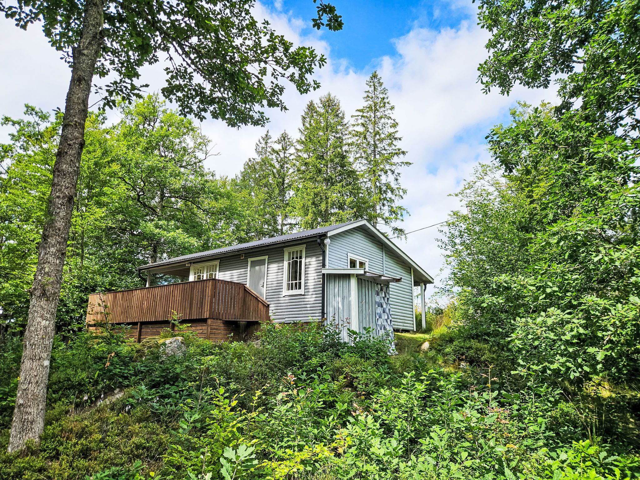A house surrounded by dense greenery and trees.