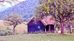 A rustic wooden cabin with a sloped roof, surrounded by a grassy field and trees. - Cozo Fantu by Interhome (Vale)