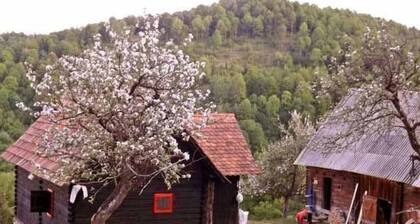 Cozo Fantu by Interhome