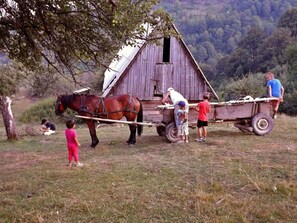 A rustic barn with a horse-drawn cart in a rural setting.