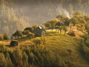 A rural landscape with several houses on a hillside, surrounded by trees and vegetation.