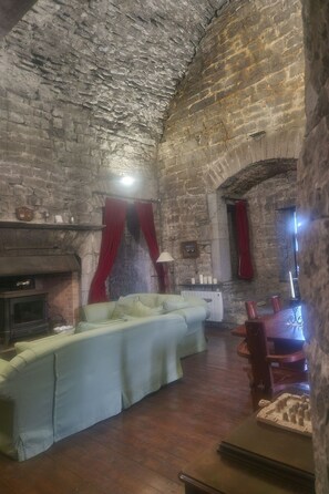 TV, fireplace - Schloss Ballindooley by Interhome (Dingle)