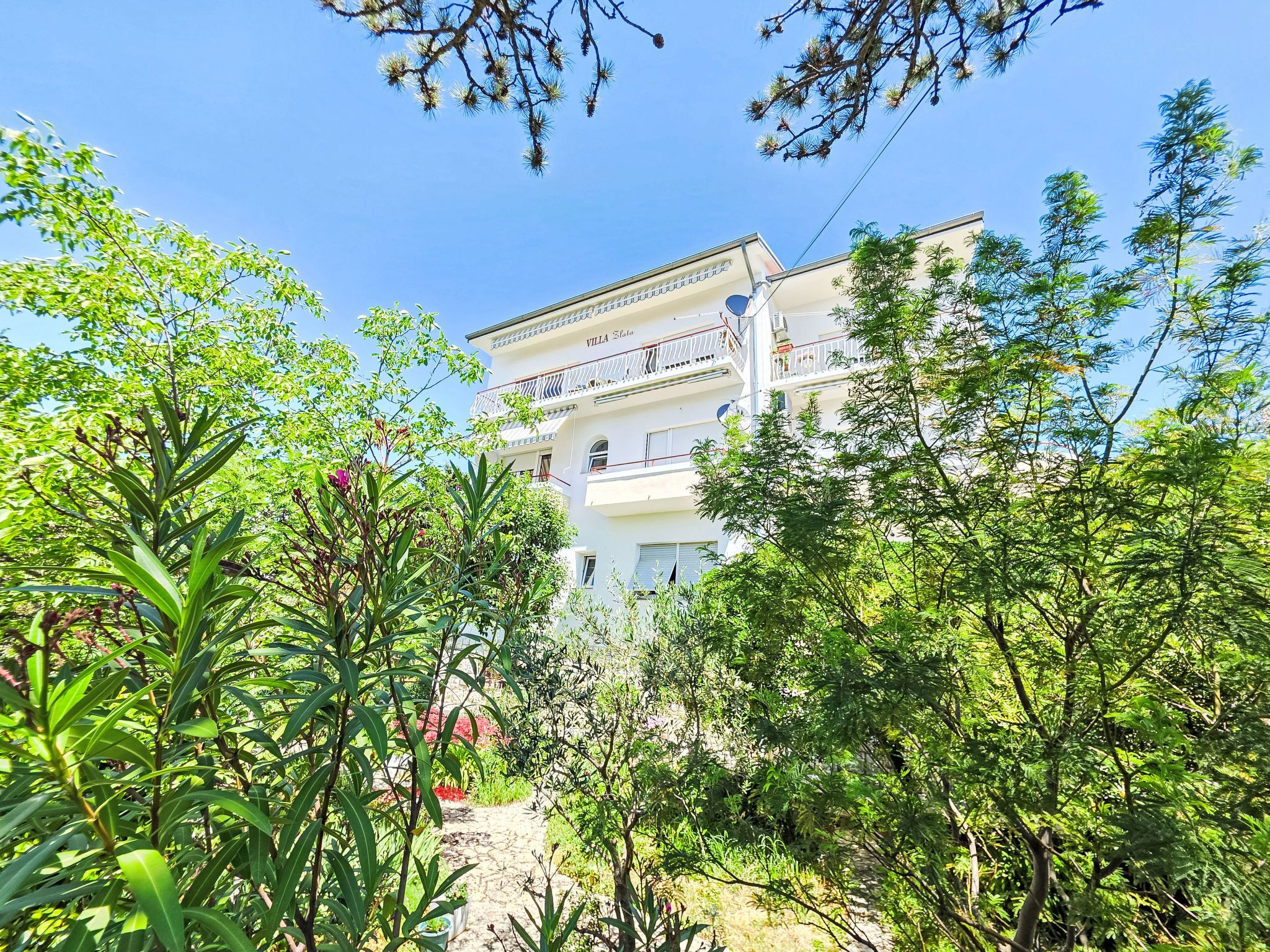 A multi-story building with balconies, surrounded by lush greenery and trees.