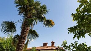 Un palmier devant un bâtiment dont le toit est recouvert de tuiles.