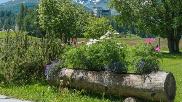 Un paisaje natural con un jardín elevado de troncos, césped verde y flores silvestres.