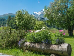 Eine natürliche Landschaft mit einem Holzpflanzgefäß, grünem Gras und Wildblumen.
