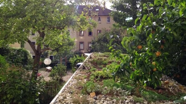 A rooftop garden with various plants and a small water feature. - Apfeltraum by Interhome (Dresden)