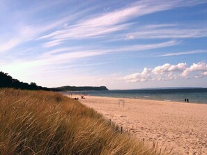 Beach - Tohus - Tamme by Interhome (Baabe)