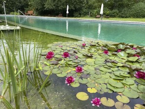Pool - Haus Weitblick by Interhome (Damshagen)
