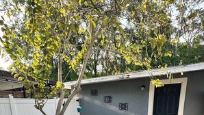 A backyard with a patio table and chairs, a small tree, and a white fence. - Casita Cortes is quiet, cozy and centrally located in Tampa. (Tampa)