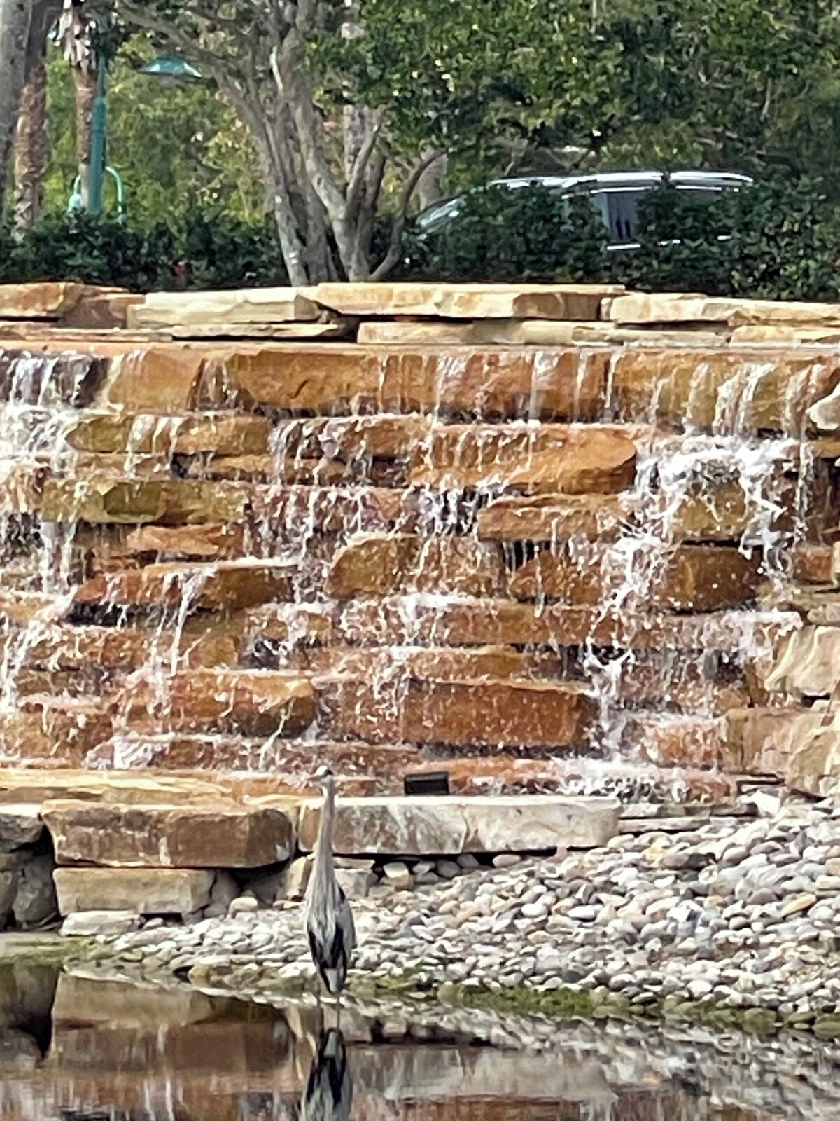 Imagem do perfil do anfitrião