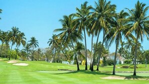 Un campo de golf con cielo despejado, palmeras y césped cuidado.