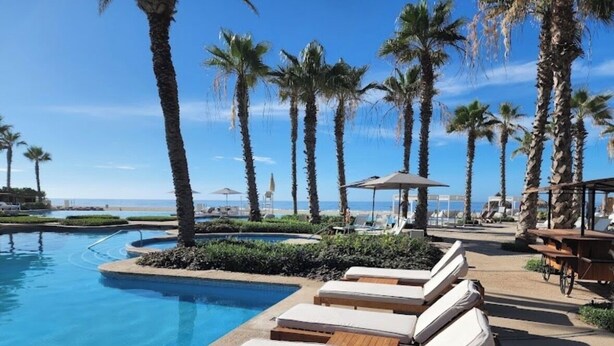 Zona junto a la piscina con sillones de descanso, palmeras y vistas a la playa.