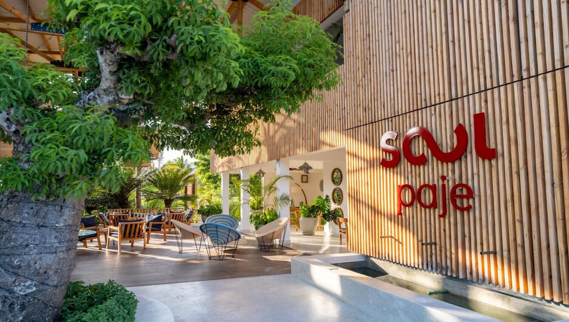 An outdoor seating area with wicker furniture and a large tree.