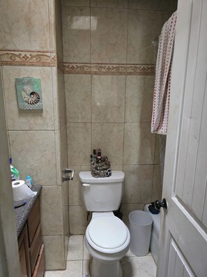 Shower, hair dryer, towels, soap - Spacious 4 Bedroom, 2 Bathroom newly remodeled and modernized home. (El Paso)