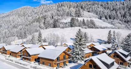 Chalet with sauna on a lake near ski resorts