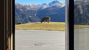 A window view of a mountainous landscape with a cow grazing on a grassy field.