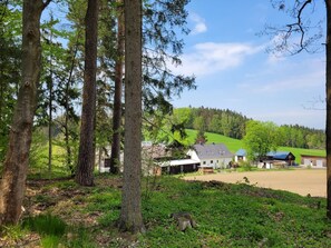 Property grounds - Fichtel-Tiny House by Interhome (Neuhaus)