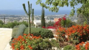 Un jardín con cactus, plantas en flor y vistas a un paisaje urbano.