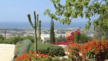 A garden with cacti, flowering plants, and a view of a cityscape.
