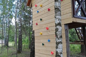 Puinen kiipeilyseinä, jossa on erivärisiä otteita, ja sen ympärillä koivuja kasvavassa metsässä.