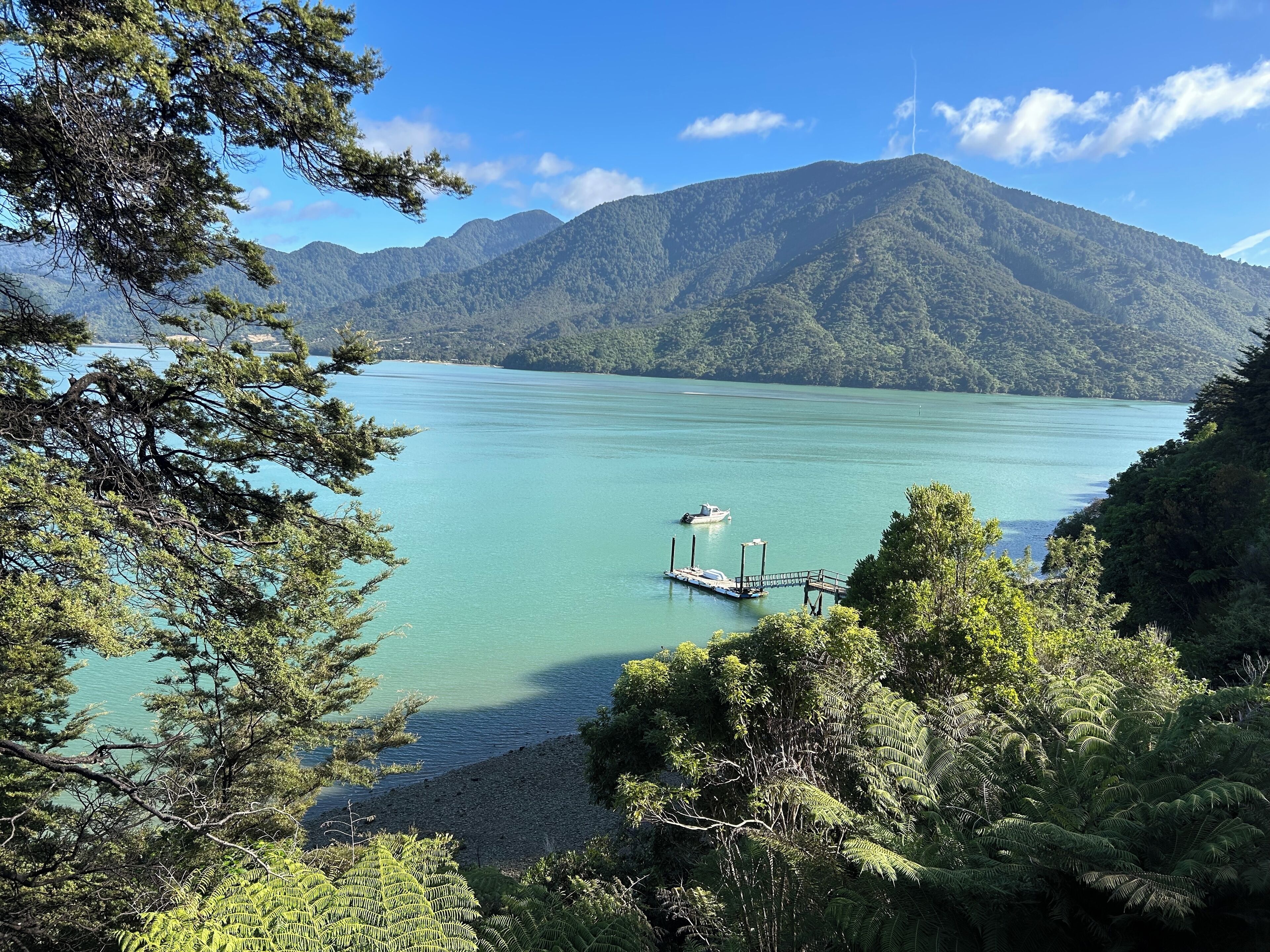 A lake with a dock and a boat, surrounded by dense forest and mountains.