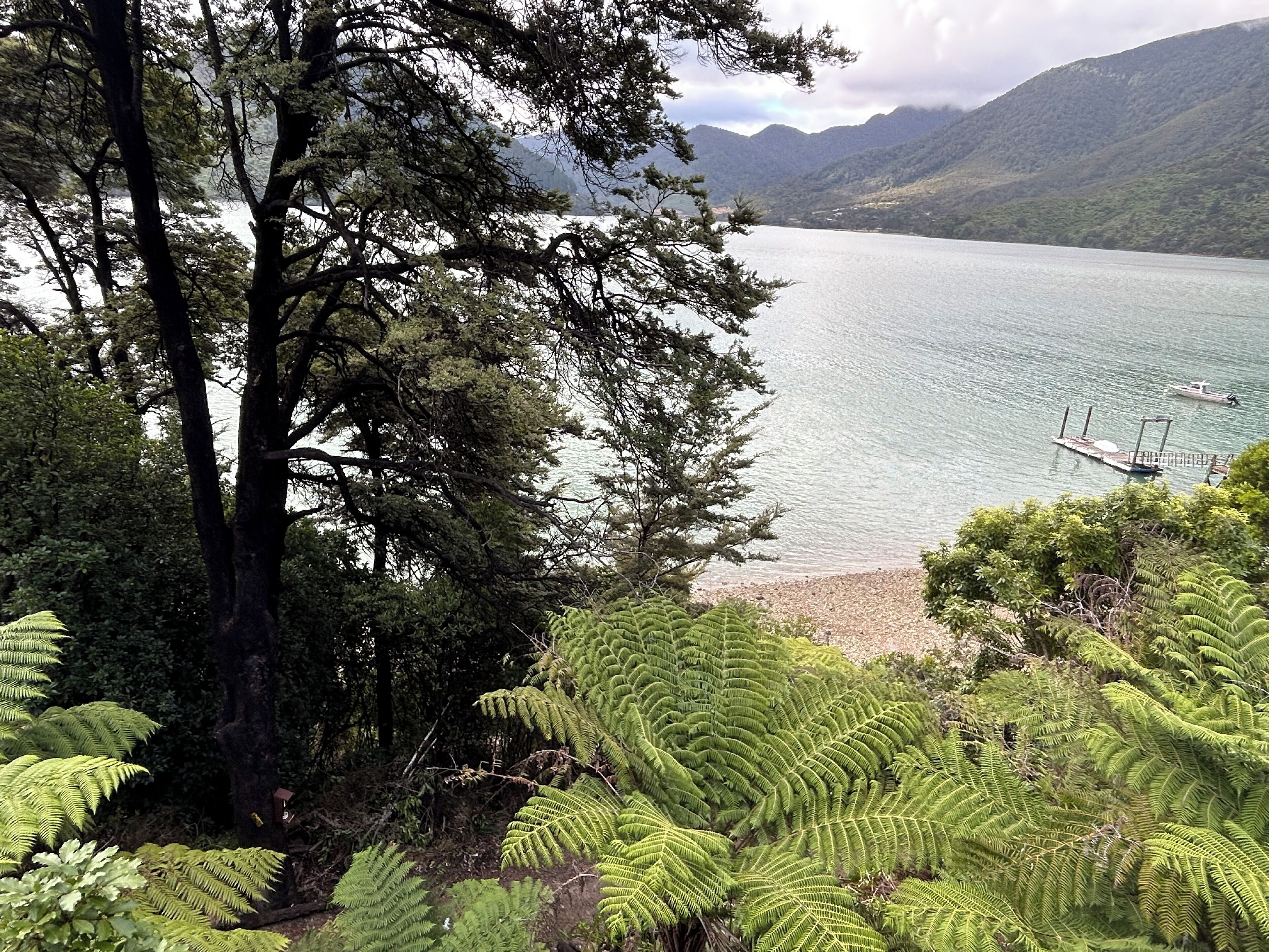 Plage, chaises longues