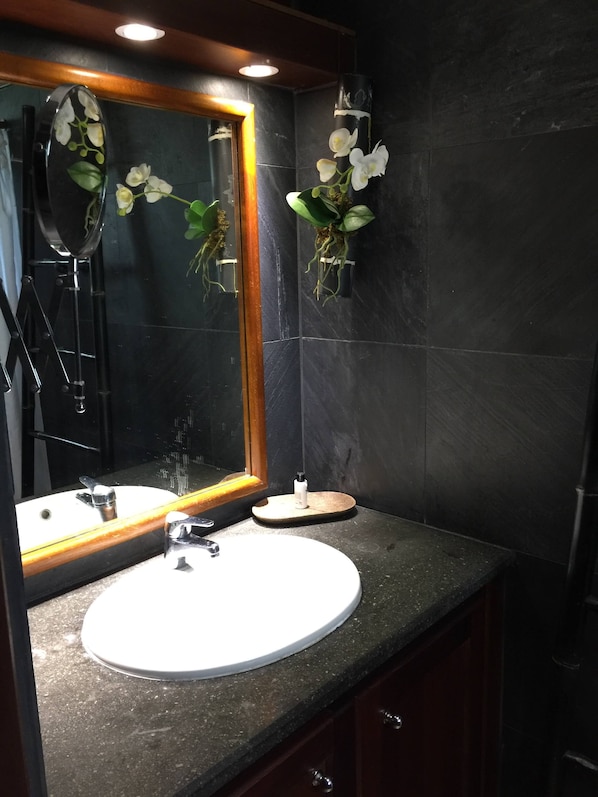 A bathroom with a large mirror, a sink, and a small plant. - Villa Maido Luxe (Saint-Paul)