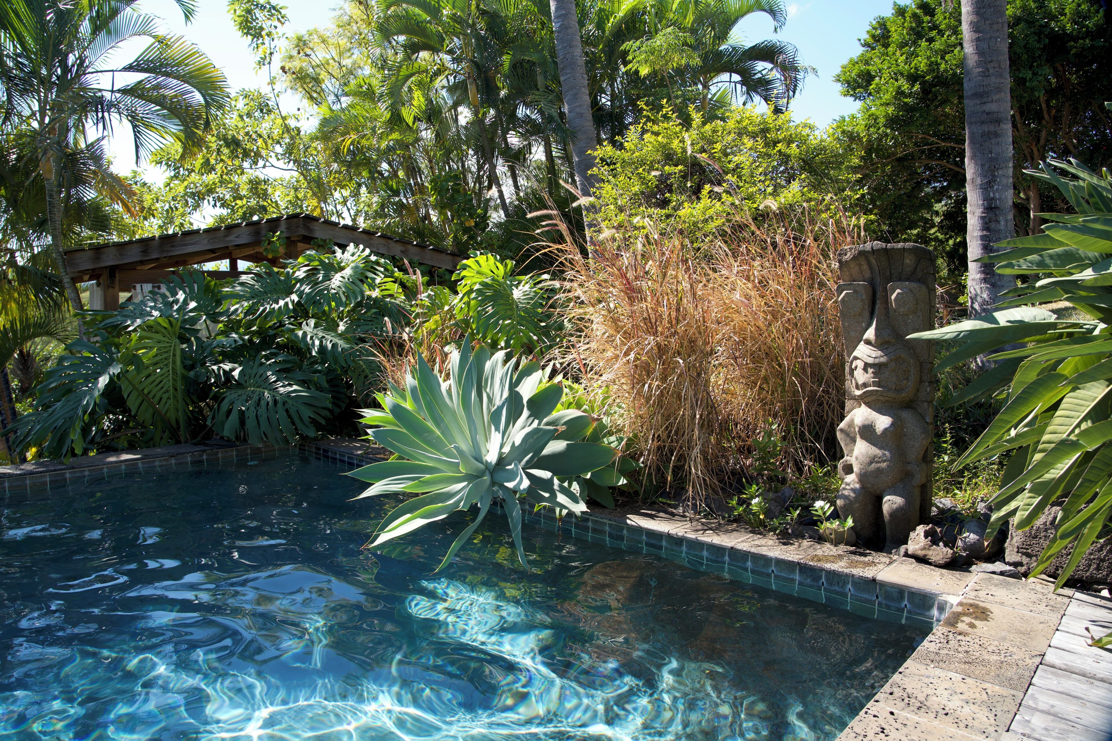 A swimming pool surrounded by tropical vegetation and a stone statue.