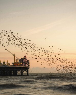 A pier with a crane and a building, overcast sky, and a large flock of birds flying over the water. - Steps from Beach & Lanes | Stylish Brighton (Brighton and Hove)