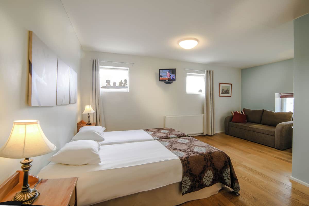 Une chambre d’hôtel avec un lit, une télévision, un canapé et une fenêtre.