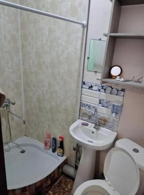 Regadera, secadora de cabello, toallas, papel de baño 