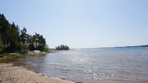 Ein Strand mit sandigem Ufer, ruhigem Wasser und einer Baumreihe im Hintergrund.