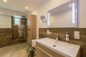 Shower, hair dryer