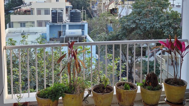 Ein Balkon mit Topfpflanzen und Blick auf eine Stadtlandschaft.