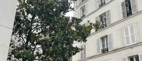 Un edificio de varios pisos con paredes blancas y contraventanas, rodeado de vegetación y plantas en macetas.