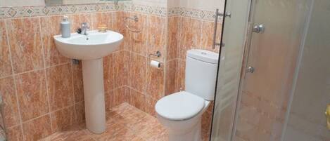Shower, hair dryer, bidet, towels
