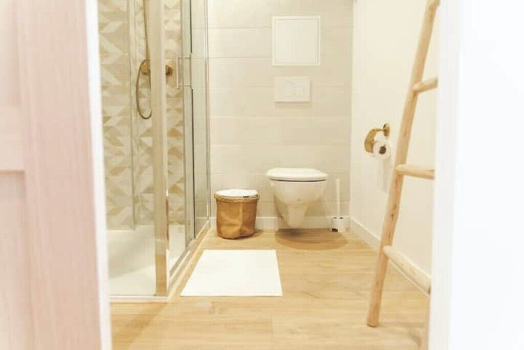 Shower, hair dryer, soap