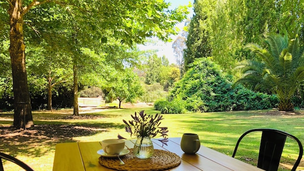 Un tavolo di legno con un vaso di fiori, due tazze e un sottotavolo intrecciato in un parco.