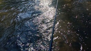 Un fiume con la luce del sole che si riflette sull'acqua, circondato da alberi.