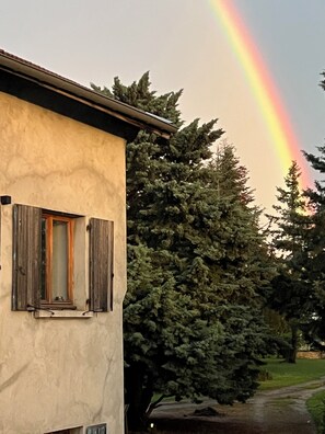 A building with a window and shutters, a tree in the background, and a rainbow in the sky.