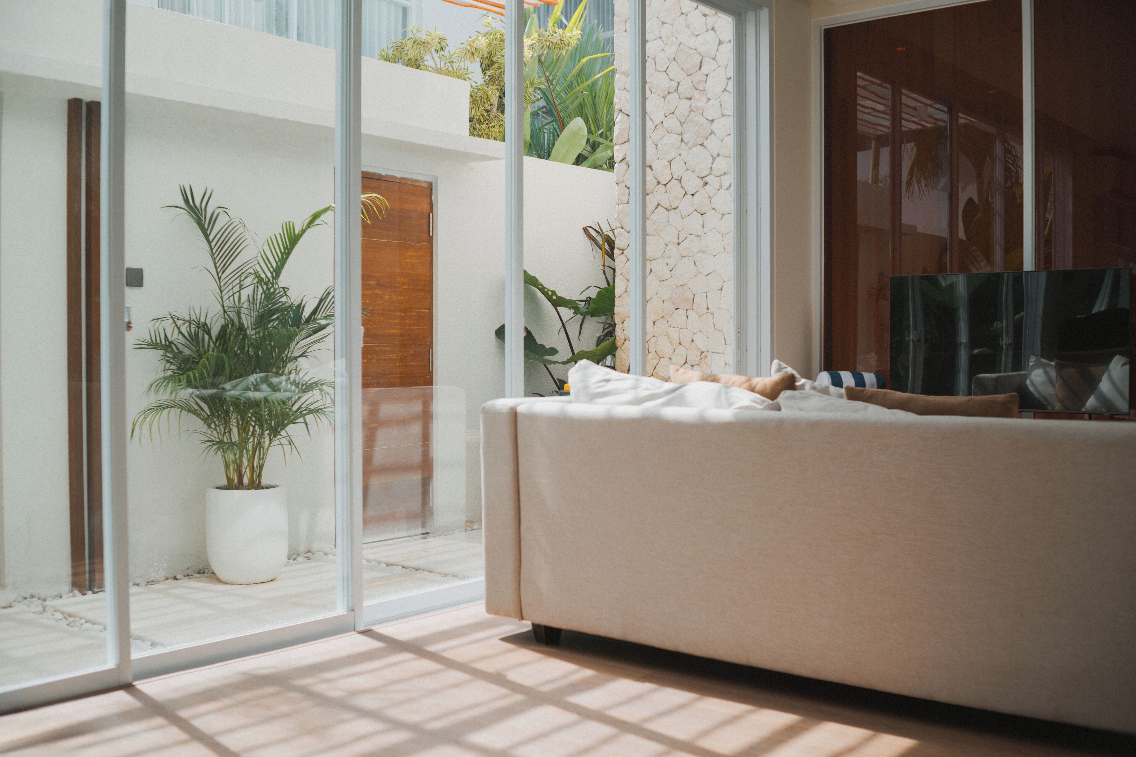 A modern living room with a sofa, a TV, and a potted plant.