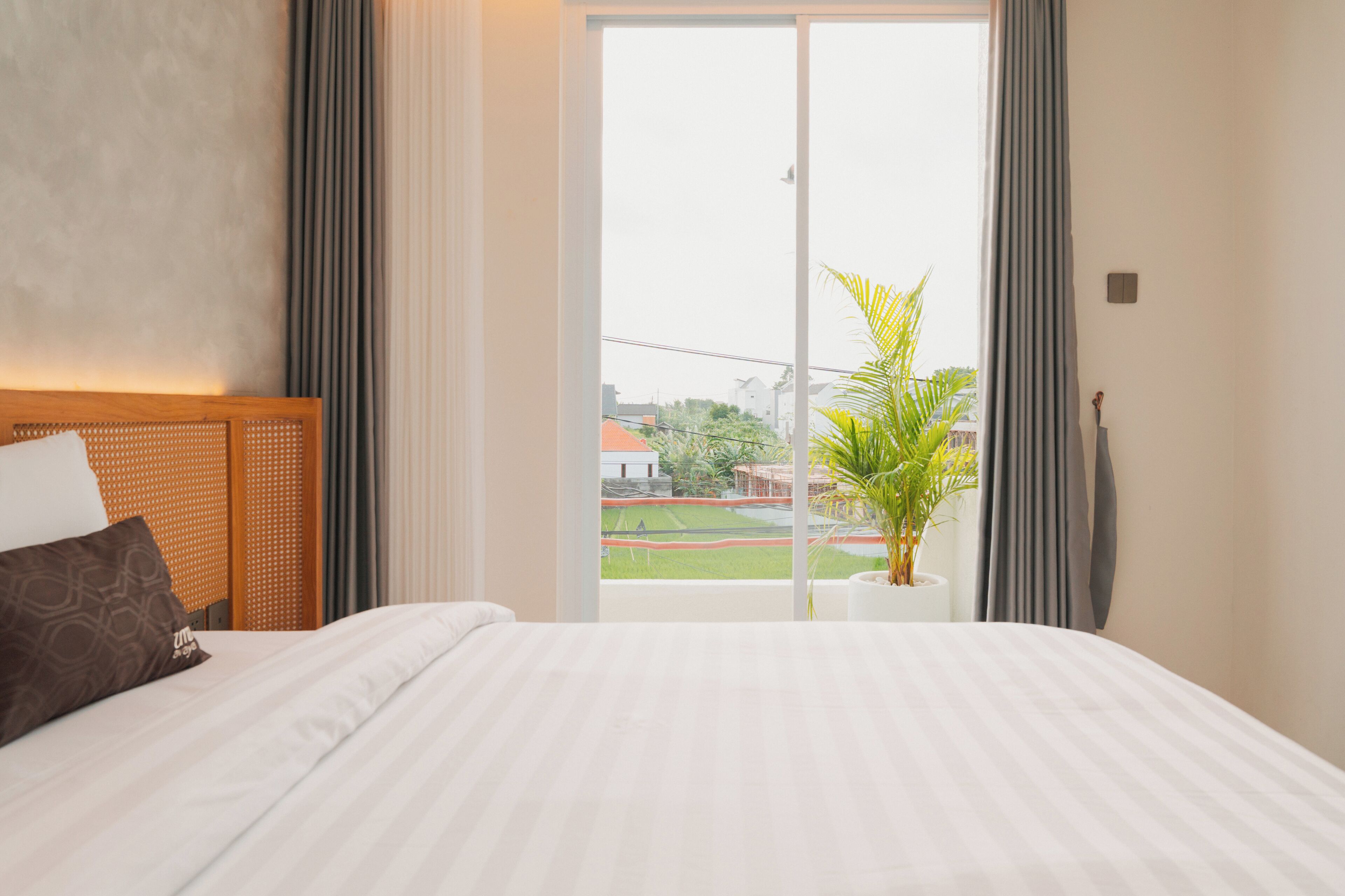 Habitación de hotel con una cama grande, cabecera de madera, una planta en maceta y vistas al exterior.
