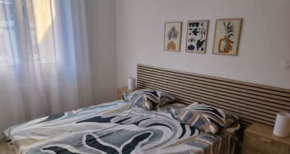 Saint Etienne - Joli appart chaleureux et cosy