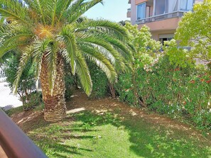 Un jardin avec des palmiers, un sentier et un bâtiment en arrière-plan.