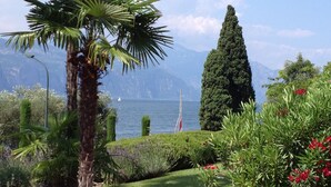 A garden with a palm tree, neatly trimmed hedges, and a tall coniferous tree. - Casa Pagani  (Brenzone sul Garda)