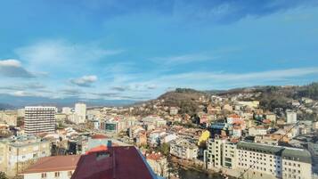 A cityscape with a river, buildings, and a hilly background.