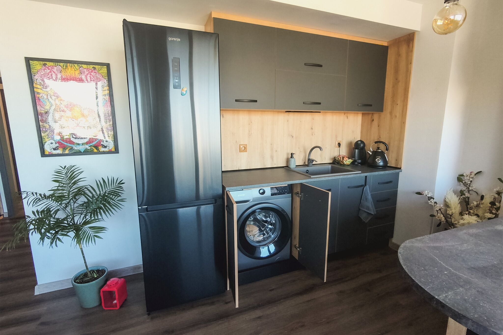 A compact kitchen with a built-in washing machine, a sink, and a potted plant.